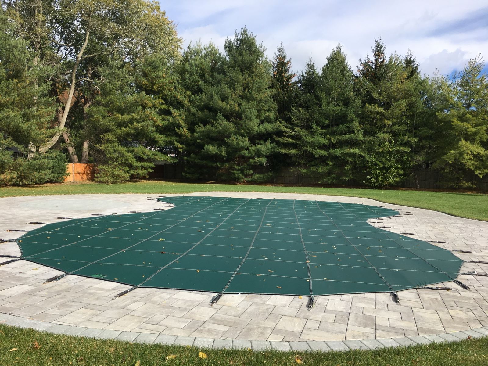 A safety cover on a freeform pool